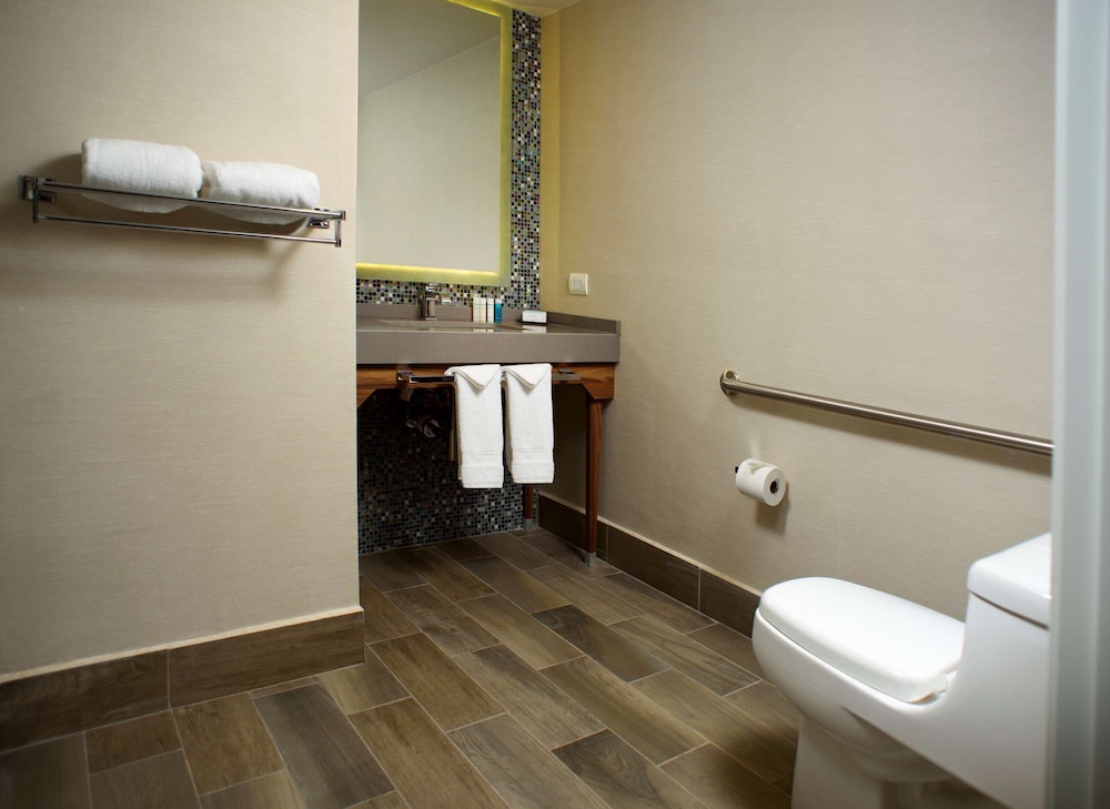 Room, 1 Queen Bed, Accessible (Roll-in Shower) photo 2