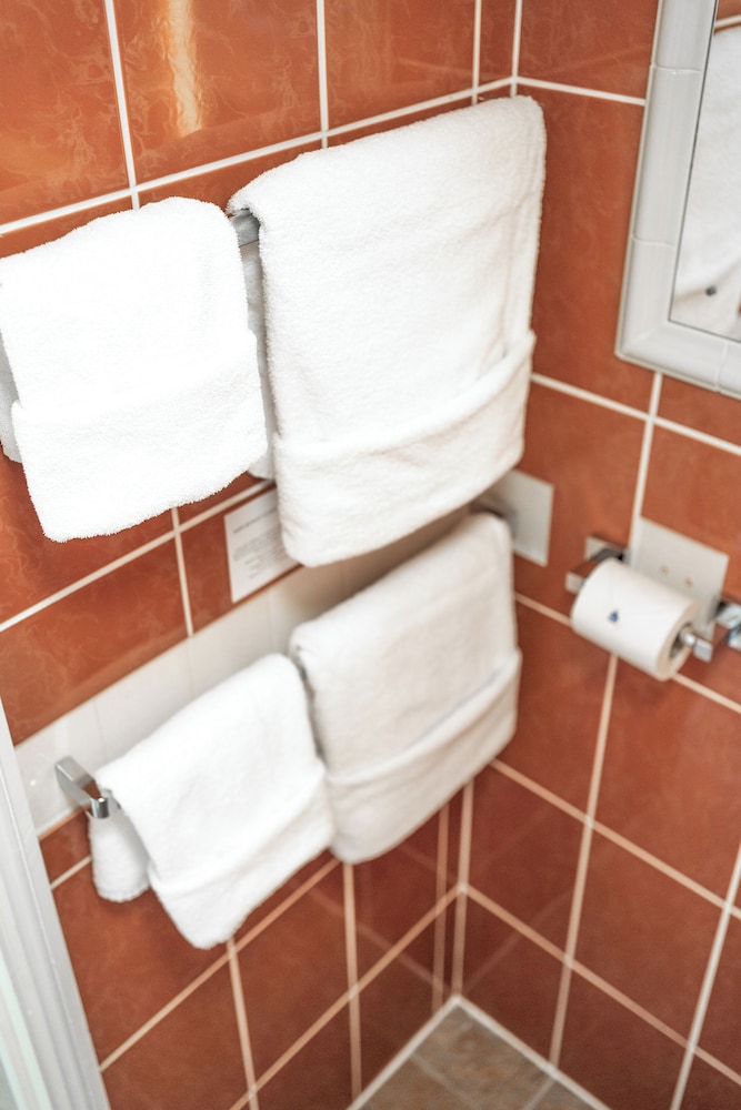 Deluxe Double or Twin Room photo 3
