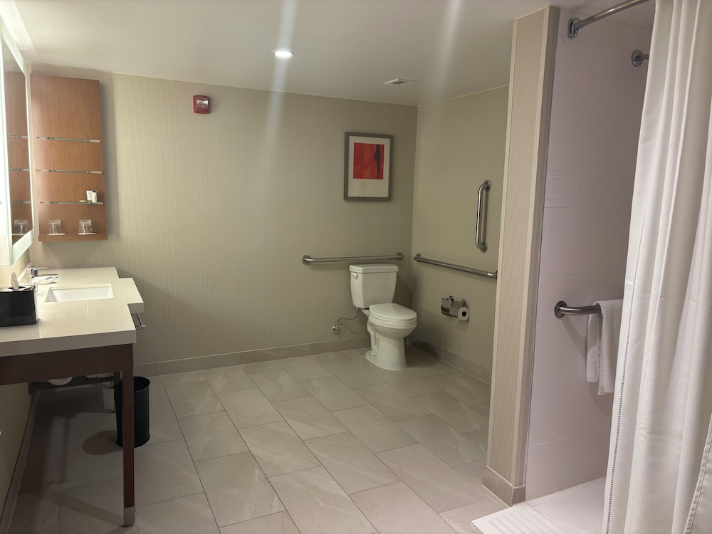Room, 1 King Bed (Mobility Accessible, Roll-In Shower) photo 3
