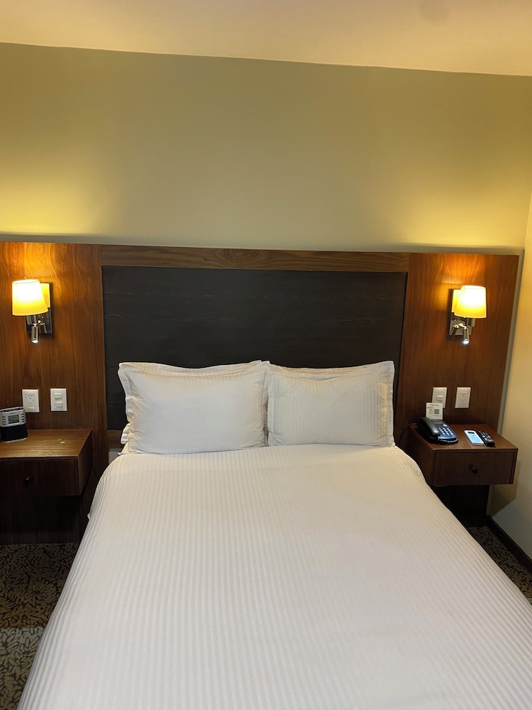 Suite, 1 Double Bed