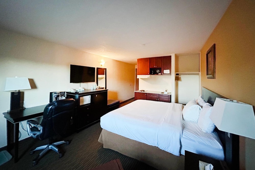 Room, 1 King Bed, Non Smoking (Efficiency) photo 1