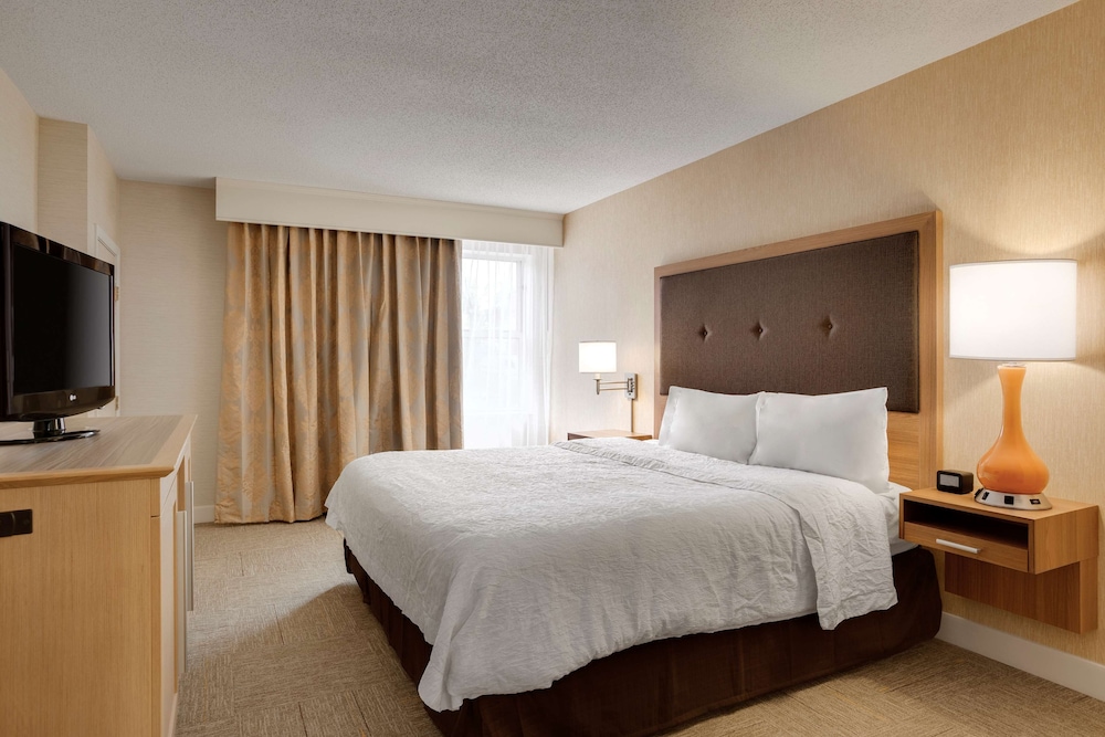 Suite, 1 King Bed, Non Smoking, Refrigerator & Microwave (Wet Bar) - Photo 4