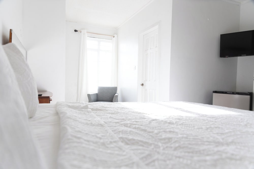 Standard Single Room, 1 King Bed photo 1