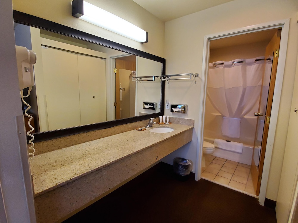 Suite, 1 Bedroom, Non Smoking - Photo 14