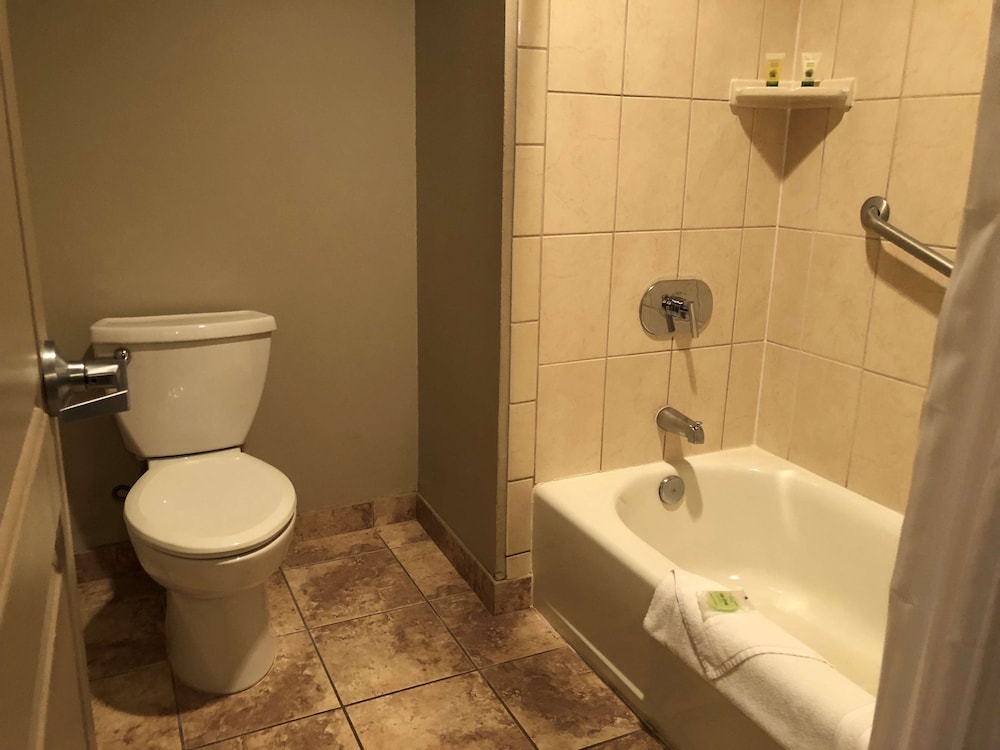Executive Suite 2 Queen with Kitchen - Photo 3