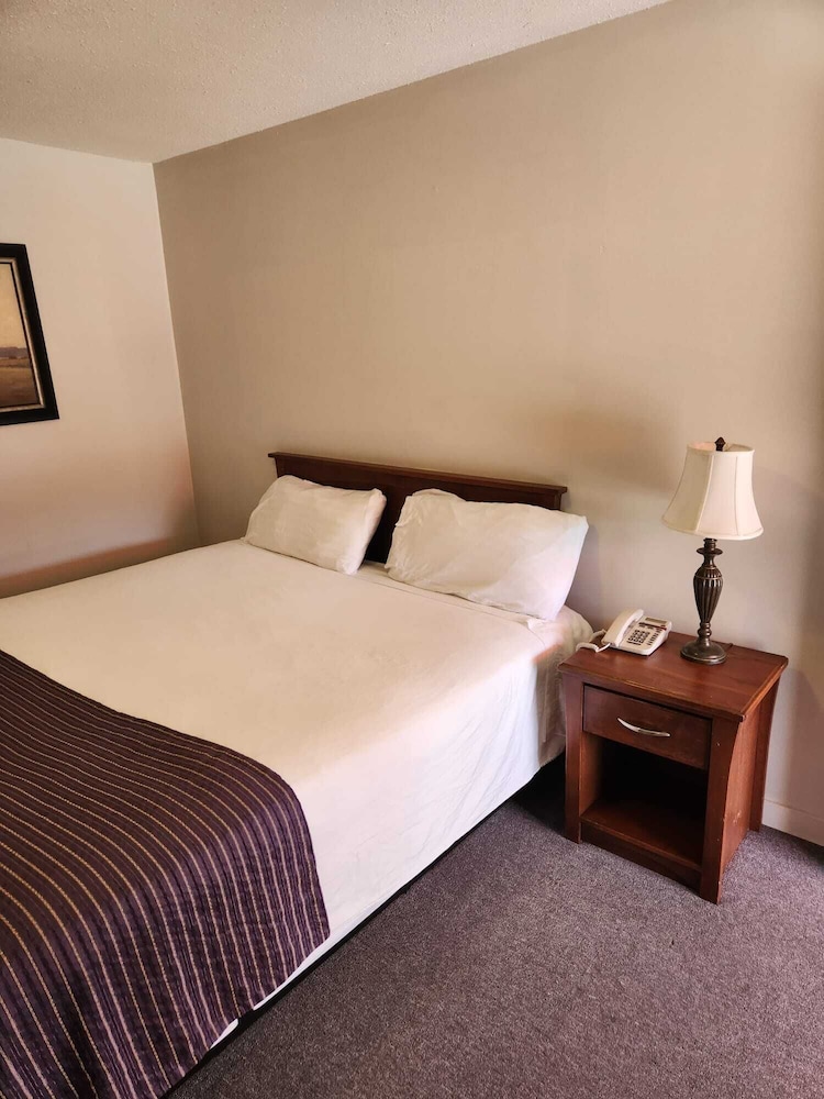 Standard Room 1 King Bed photo 1