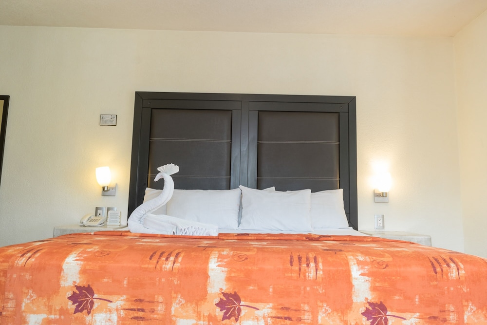 Superior Room, 1 King Bed photo 3