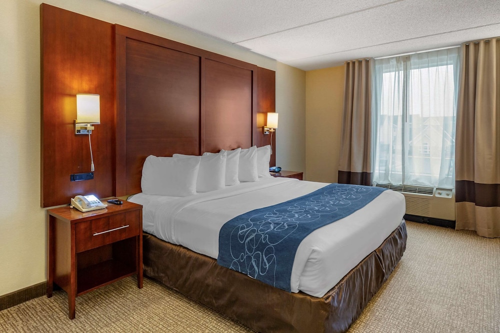 Suite, 1 King Bed, Non Smoking - Photo 6