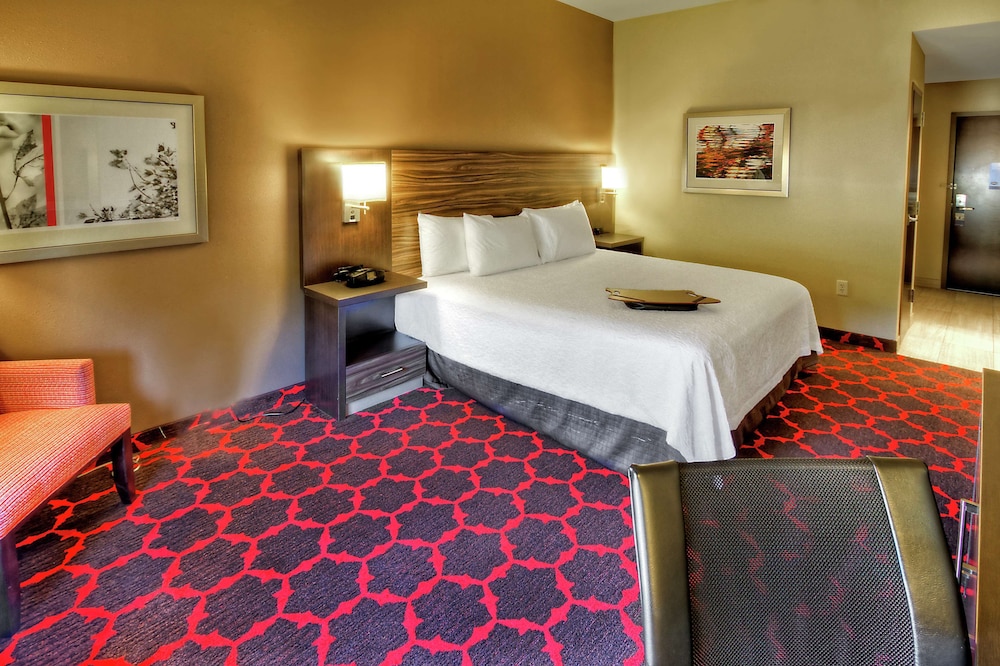 Room, 1 King Bed, Accessible, Bathtub (Mobility & Hearing) - Photo 3