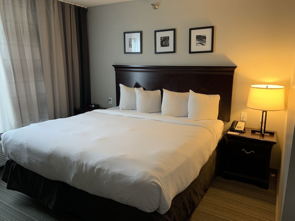 Suite, 1 Bedroom, Non Smoking - Photo 3