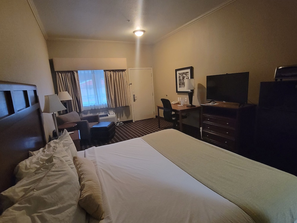 Basic Single Room photo 1
