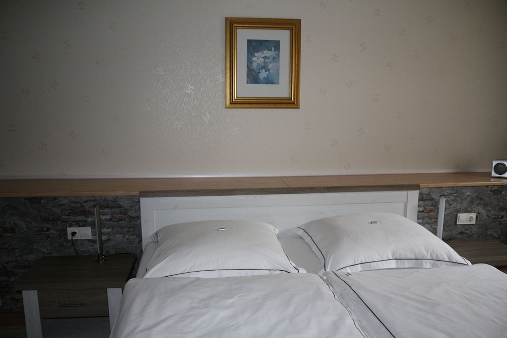 Premium Studio, 1 King Bed, Fireplace, Garden View photo 1
