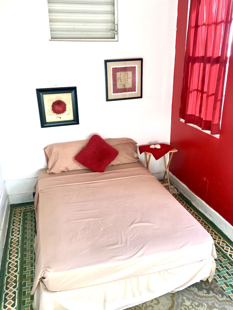 Premium Room, 1 Queen Bed photo 1