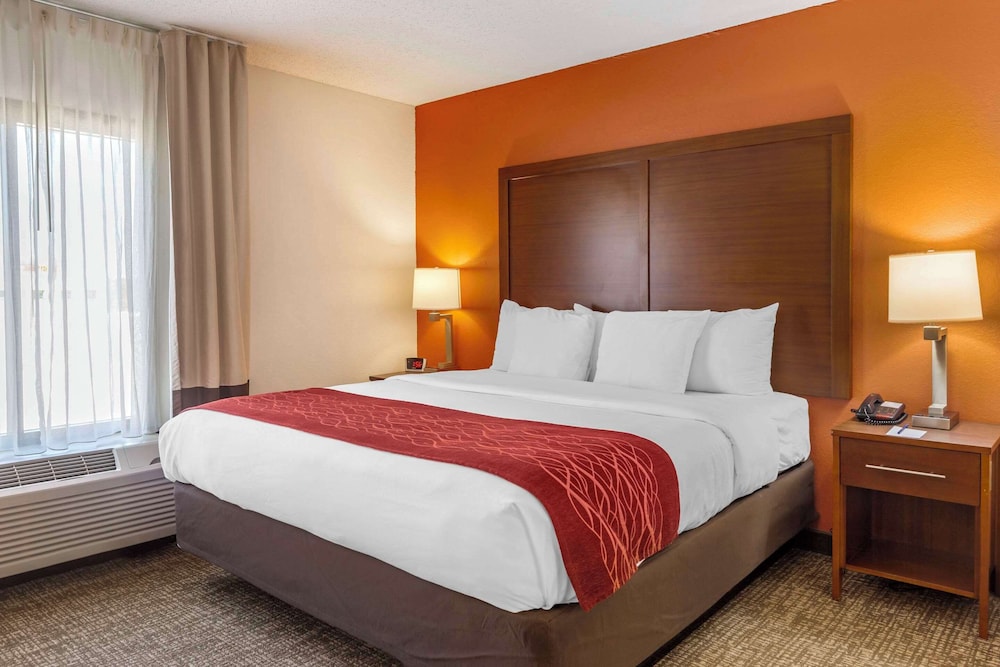 Deluxe Suite, 1 King Bed, Non Smoking - Photo 1