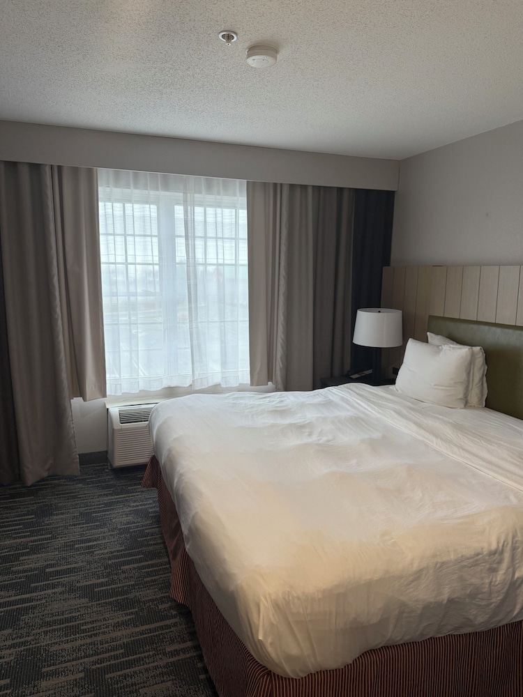 Suite, 1 King Bed, Non Smoking photo 3