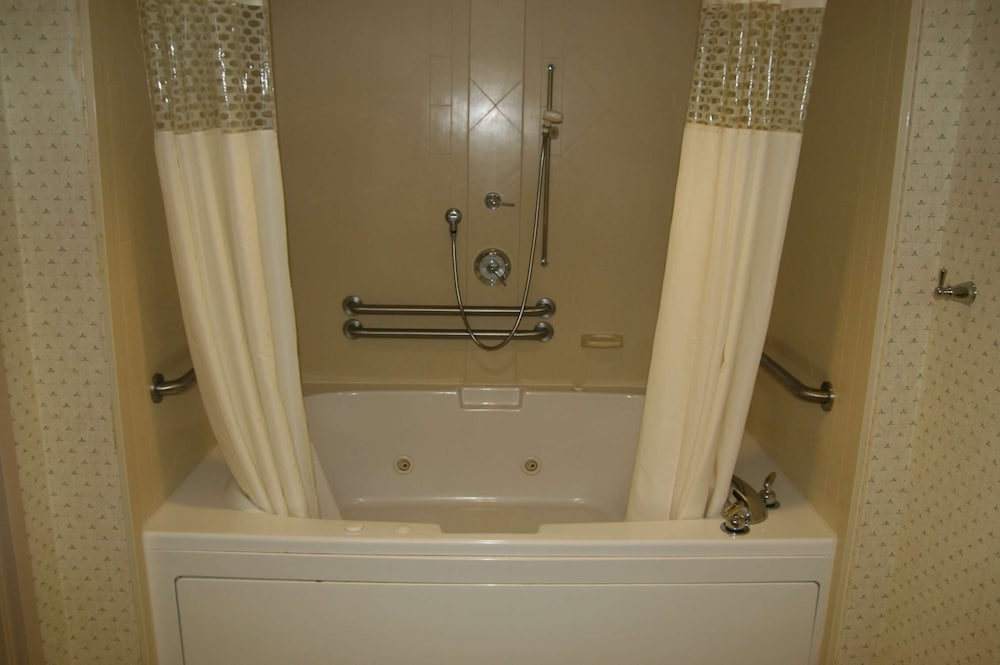 Suite, 1 King Bed photo 3