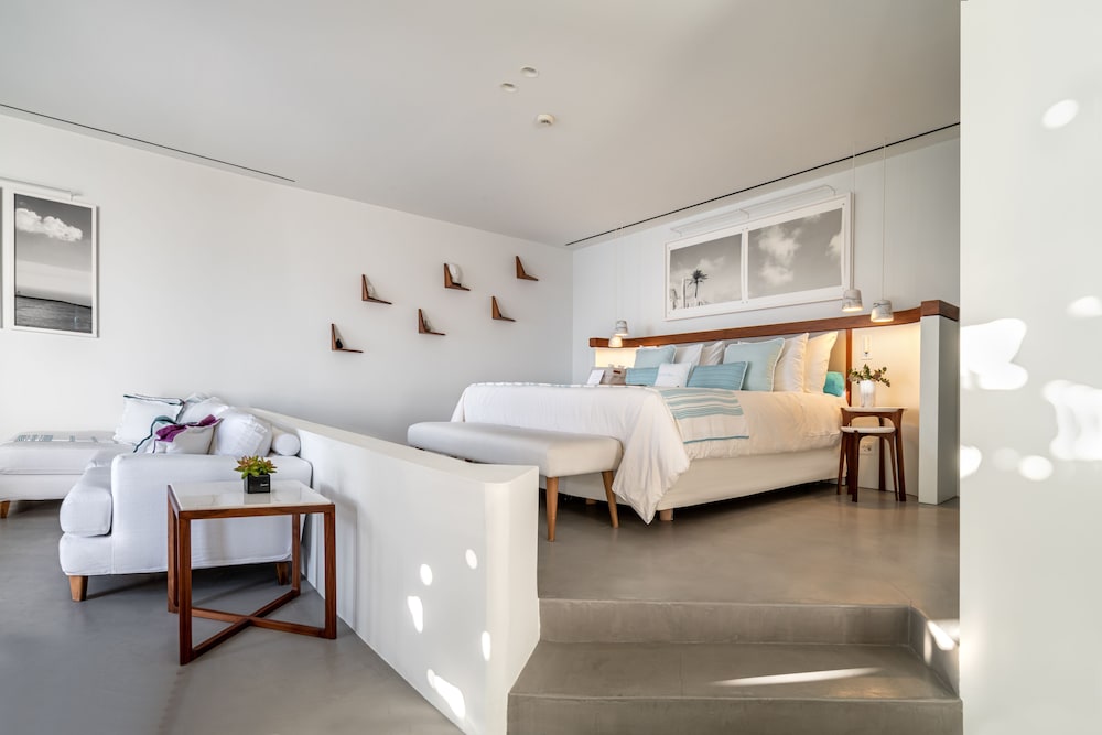 Suite (VIP with Plunge Pool) - Photo 3