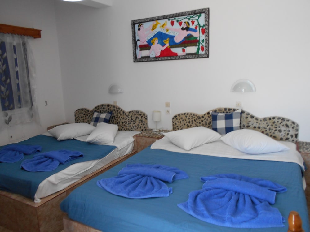 Superior Double Or Twin Room photo 1
