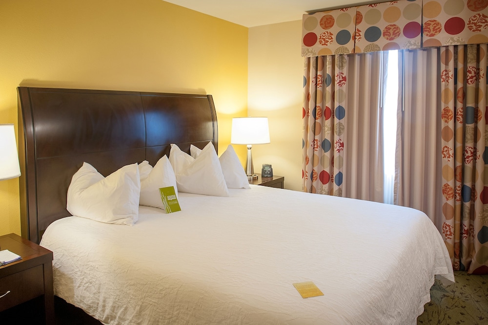 Suite, 1 King Bed, Accessible - Photo 1