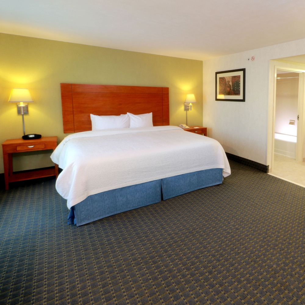 Studio Suite, 1 King Bed - Photo 2