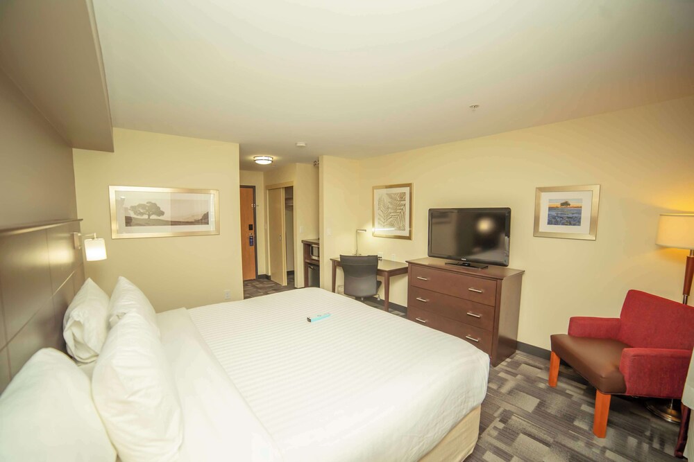 Standard Room, 1 King Bed, Non Smoking photo 2