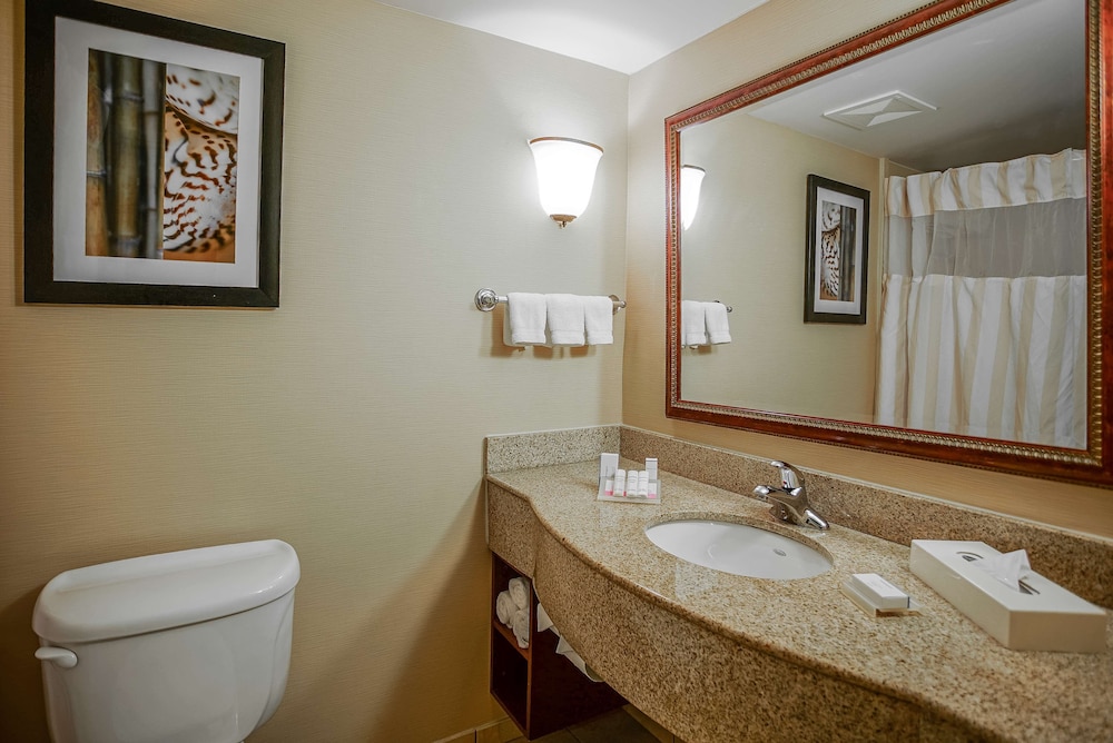 Junior Suite, 1 King Bed - Photo 3
