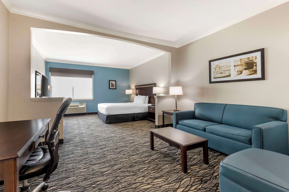 Standard Room, 1 King Bed, Accessible, Refrigerator & Microwave (with Sofabed) - Photo 1