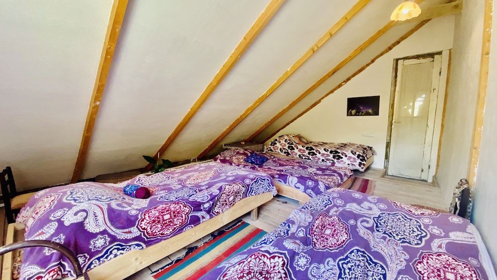 Comfort Quadruple Room photo 1