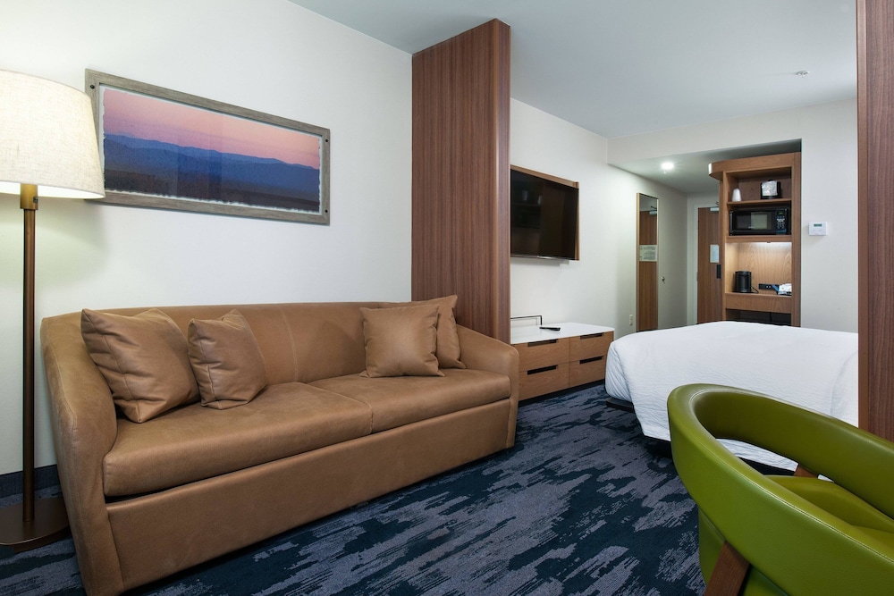 Studio Suite, 1 King Bed with Sofa bed