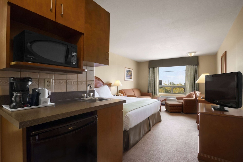 Room, 1 King Bed