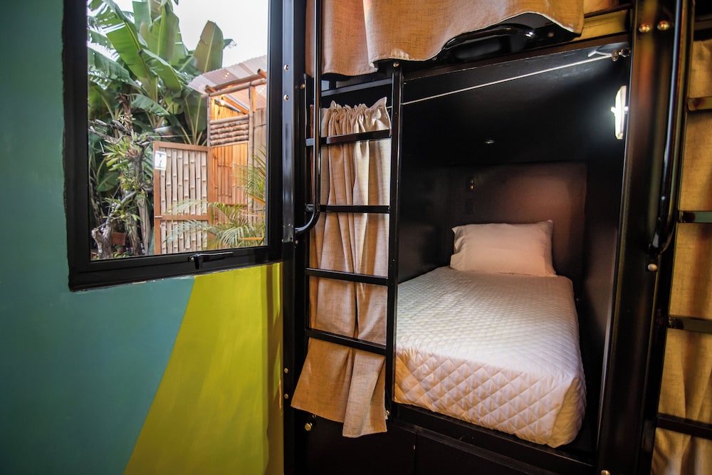 Superior Shared Dormitory