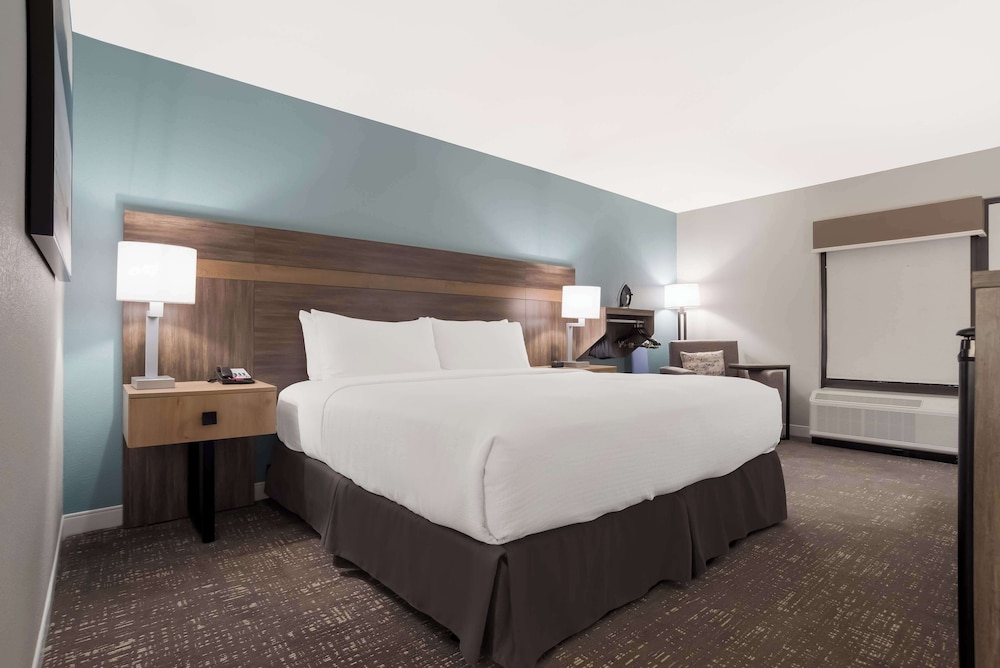 Standard Room, 1 King Bed, Accessible, Refrigerator & Microwave - Photo 5