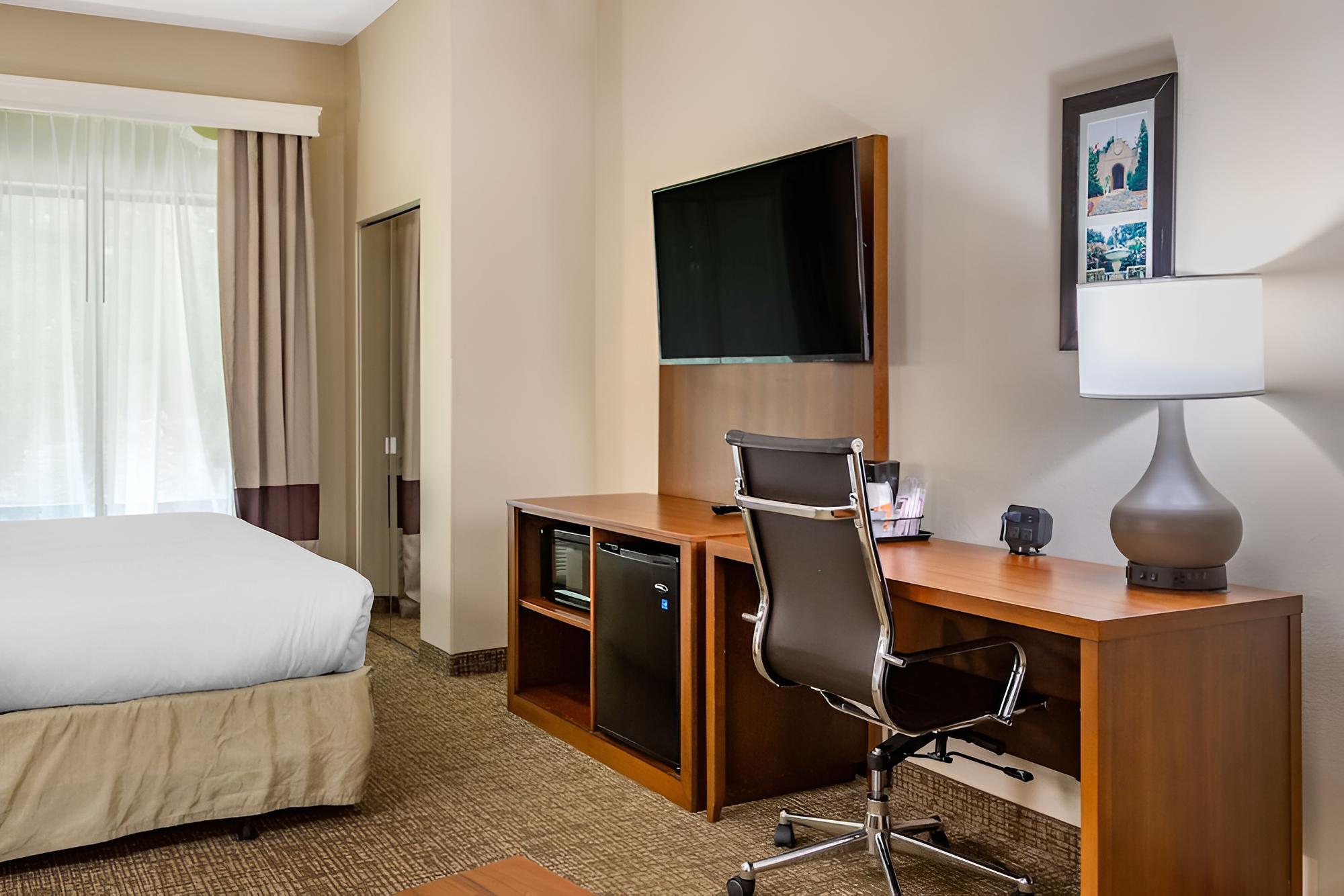 Suite, Non Smoking photo 3