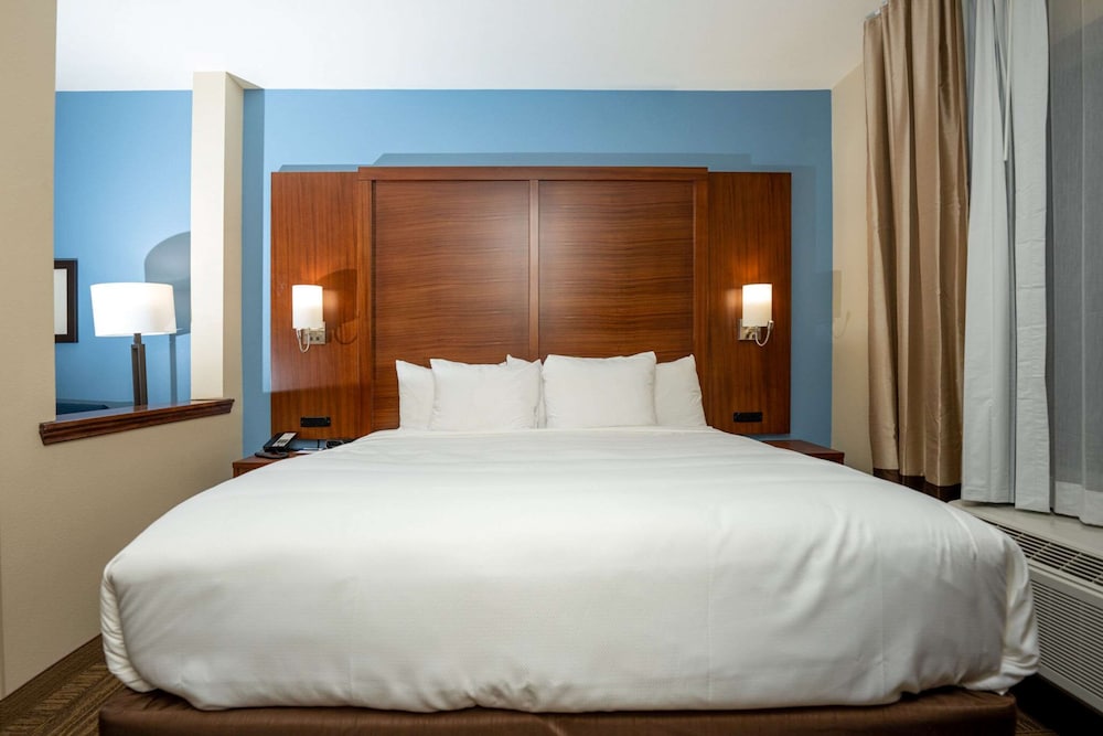 Suite, 1 King Bed with Sofa bed, Non Smoking (Wet Bar) - Photo 1