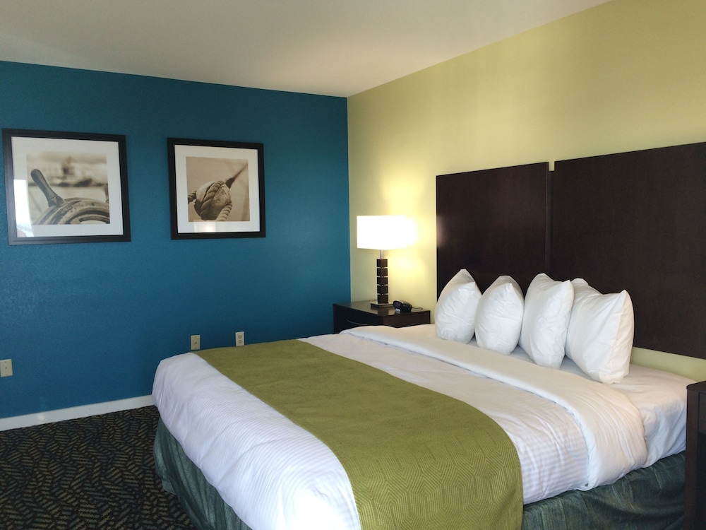 Premium Room, 1 King Bed, Bay View