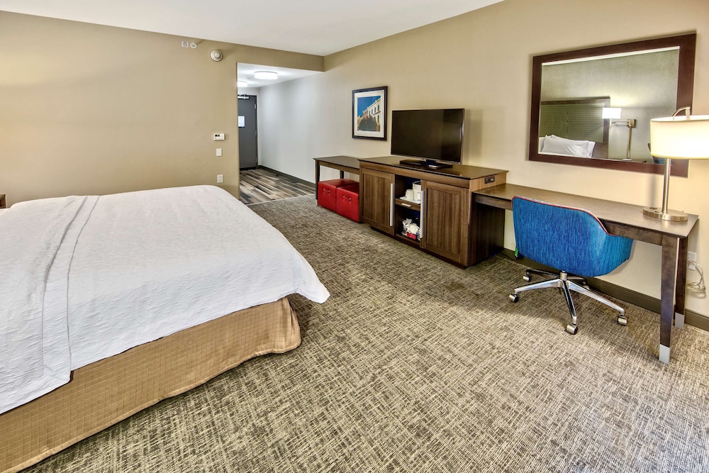 ADA Accessible Room, 1 King Bed, Accessible (Roll-in Shower) photo 3