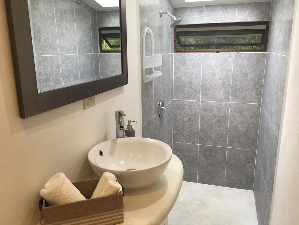 Lower Suite photo 2