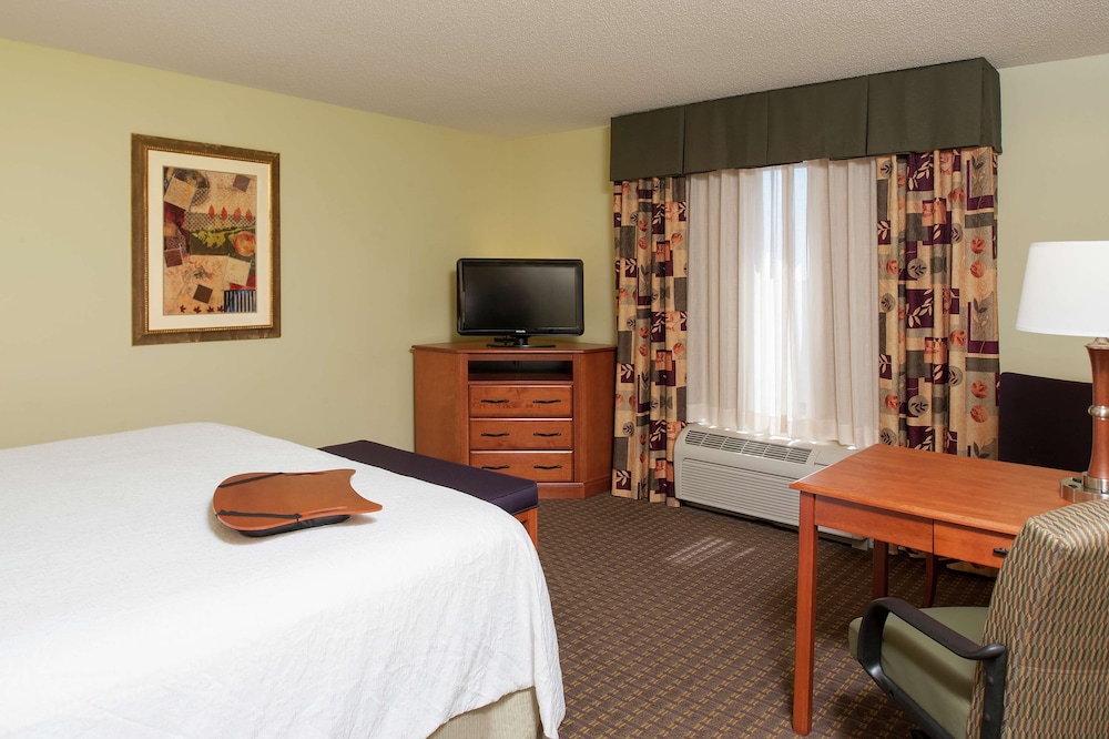 Room, 1 King Bed, Accessible, Non Smoking - Photo 4