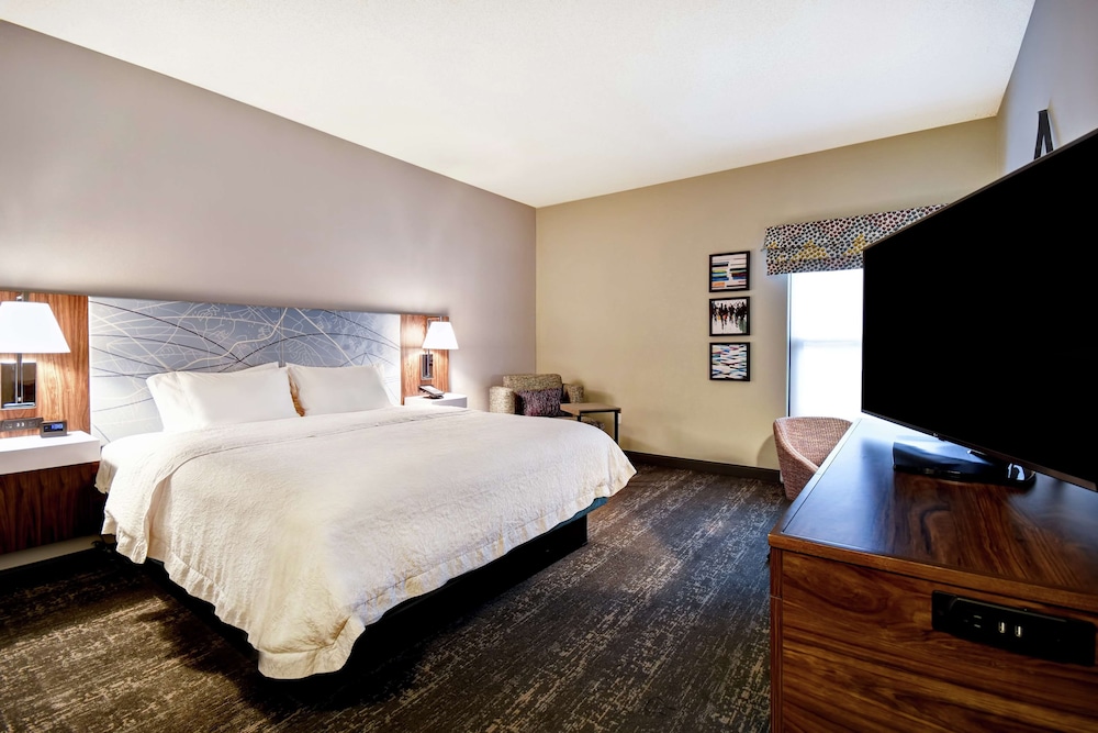 Room, 1 King Bed, Accessible (Mobility, Roll-in Shower) - Photo 4