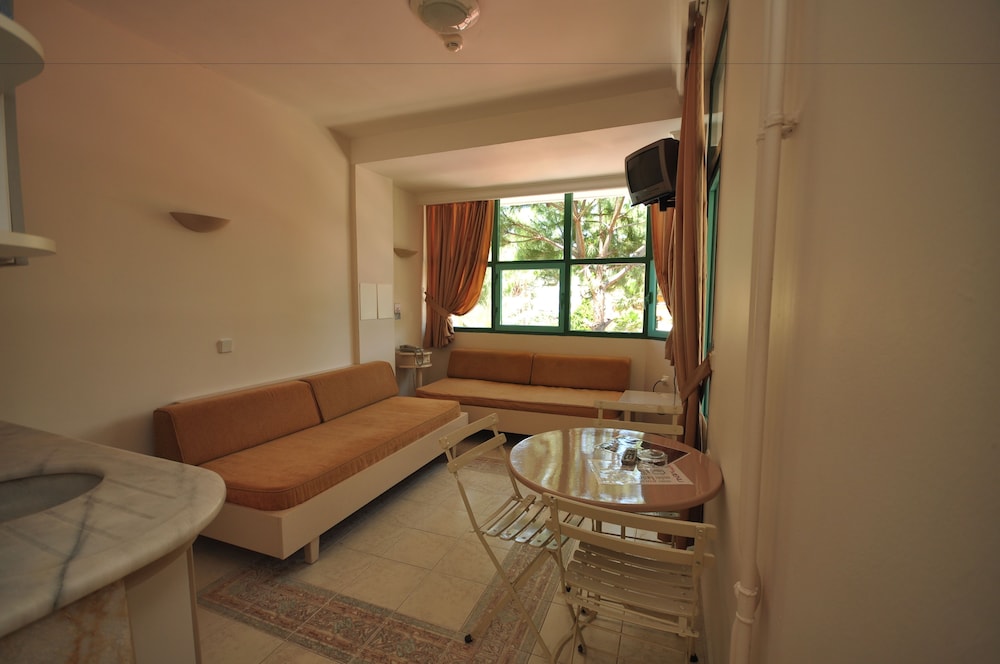 Apartment, 1 Bedroom photo 2