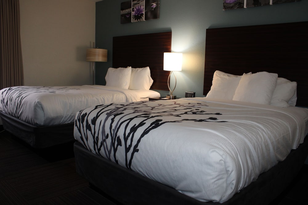 Room, 2 Queen Beds, Non Smoking - Photo 4