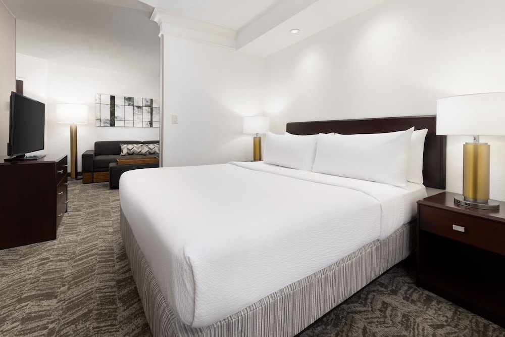 Suite, 1 King Bed with Sofa bed