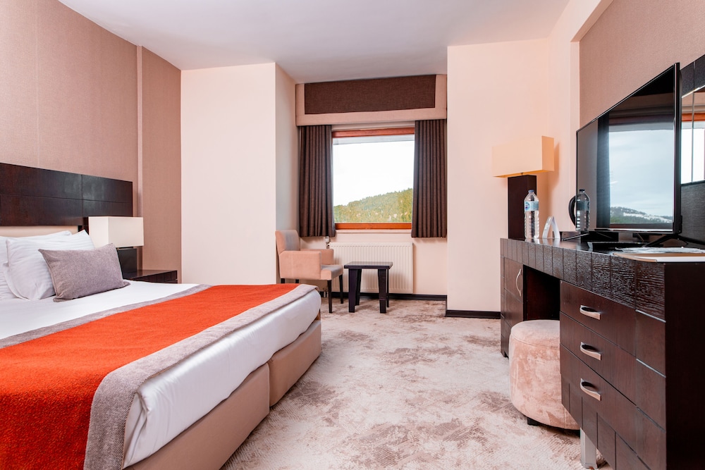 Deluxe Double or Twin Room, Mountain View