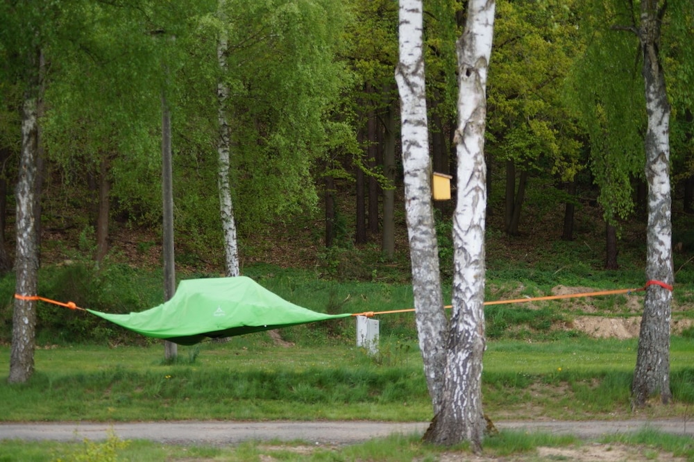 Basic Tent photo 2