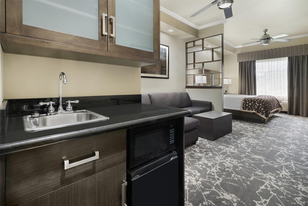 Standard Room, 1 King Bed, Accessible, Refrigerator & Microwave (Walk-in Shower;with Sofabed) - Photo 3