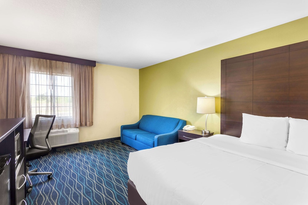 Standard Room, 1 King Bed, Non Smoking, Refrigerator & Microwave (with Sofabed) - Photo 1