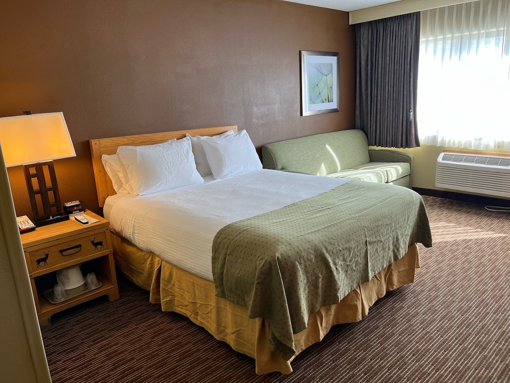Basic Room, 1 Queen Bed with Sofa bed photo 1