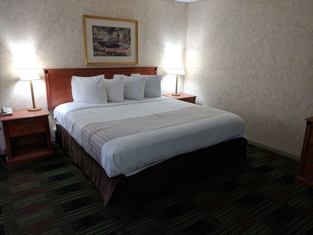 Deluxe Room, 1 King Bed, Refrigerator & Microwave