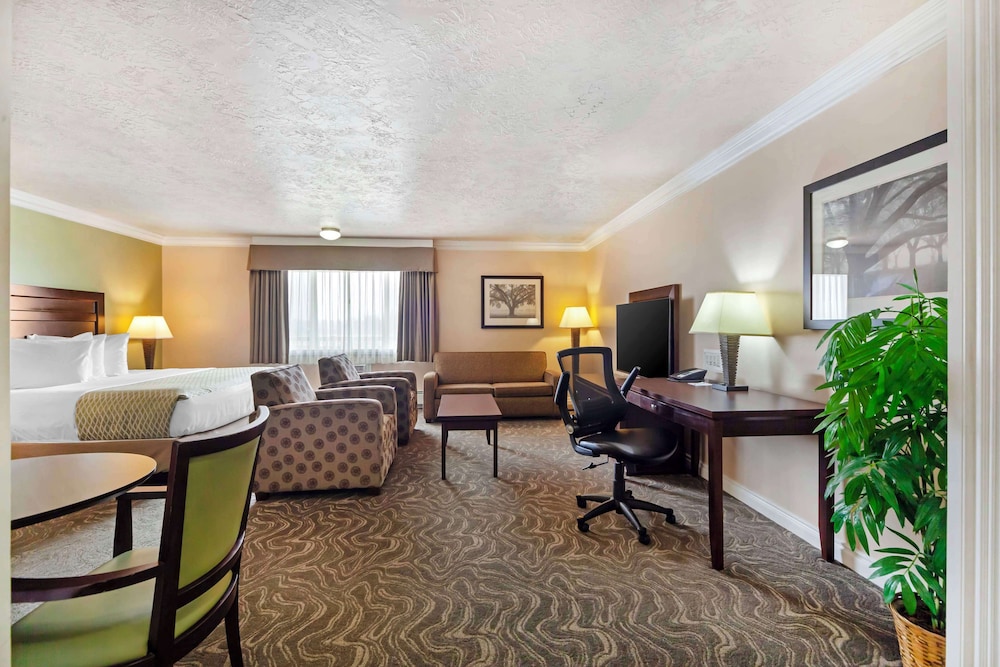 Suite, 1 King Bed, Non Smoking, Refrigerator & Microwave (No Pets in room type) - Photo 1