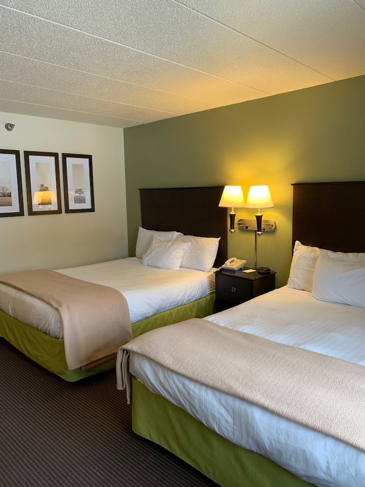 Room, 2 Queen Beds, Non Smoking (Pet-Friendly) photo 2